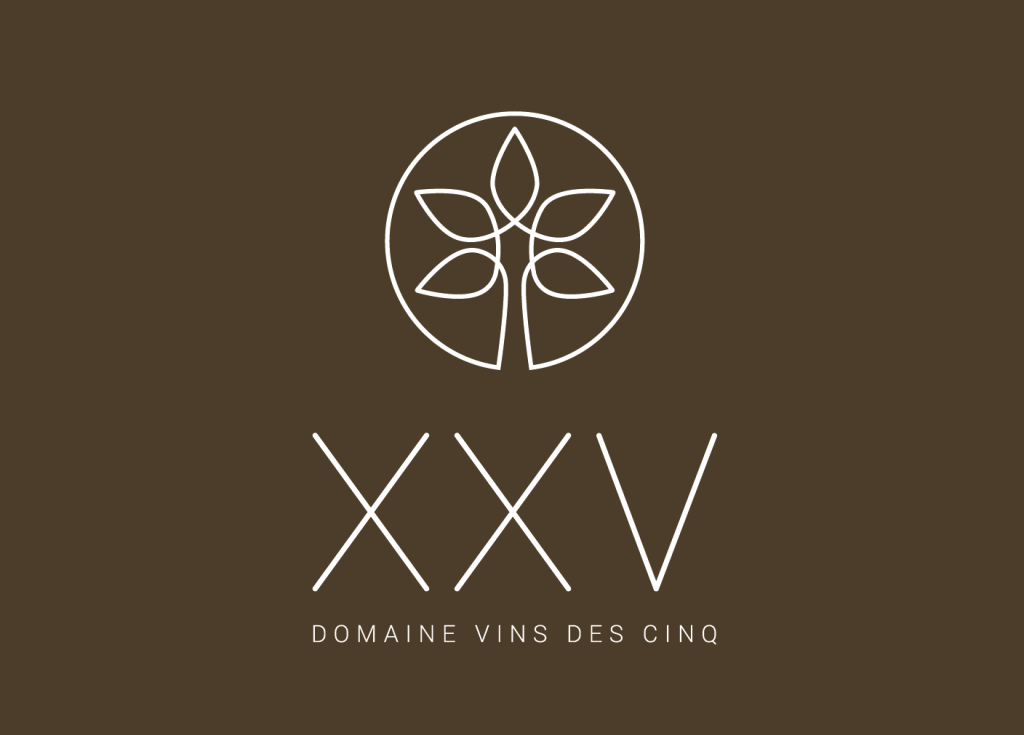 logo-xxv